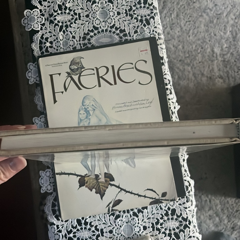Faeries 1978 hardcover vintage Illustrated Book by Brian Froud and Alan Lee - Picture 8 of 10